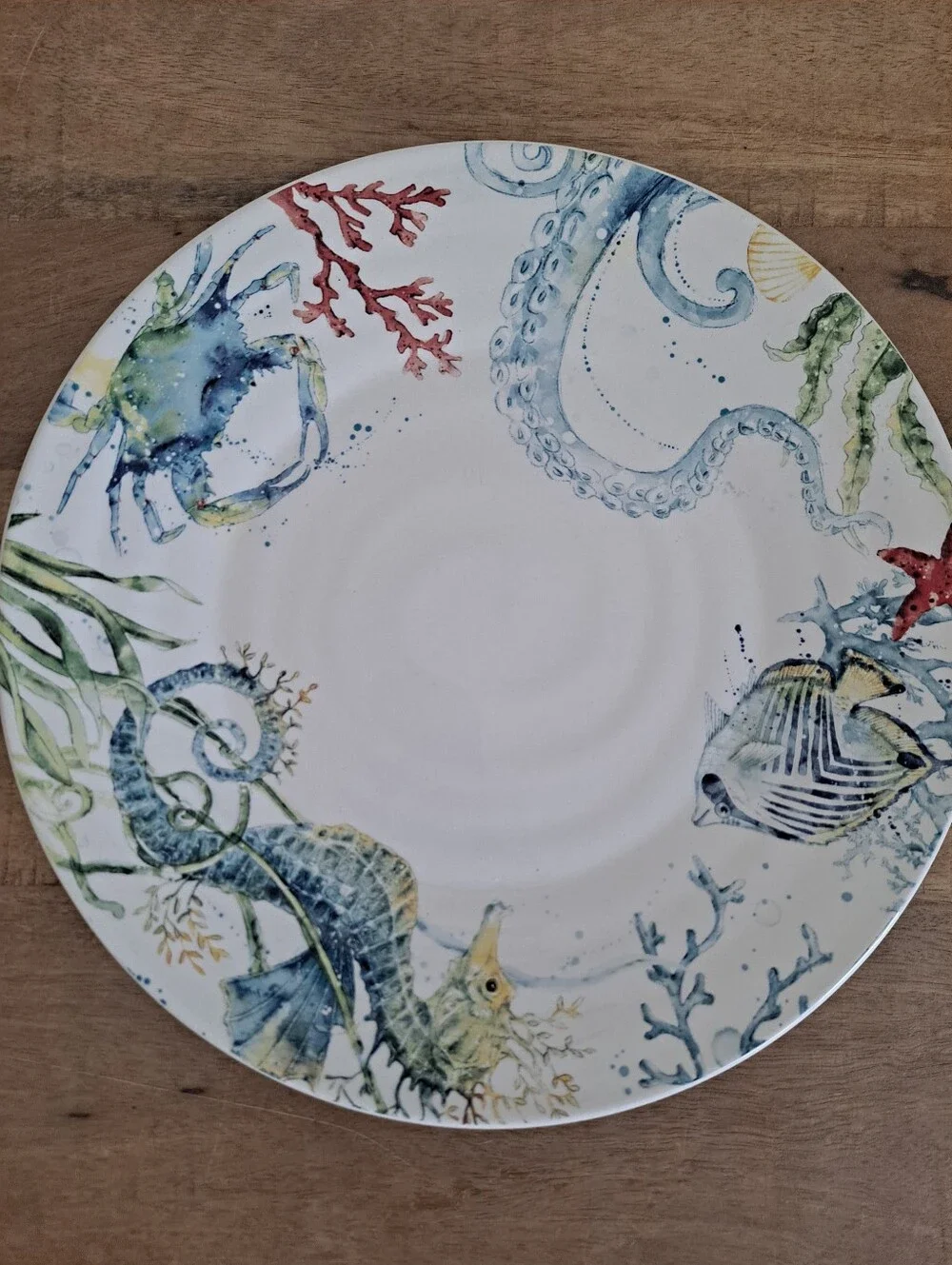 Pier 1 White Ceramic Dinner Plate Sea Life Rare Discontinued  10.75